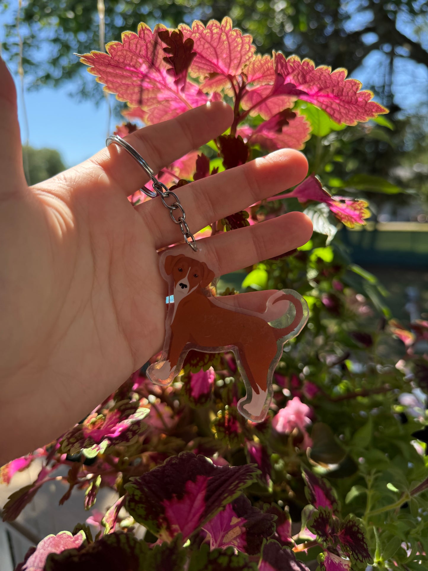 Austrian Pinscher Dog 2.5in Acrylic Keychain