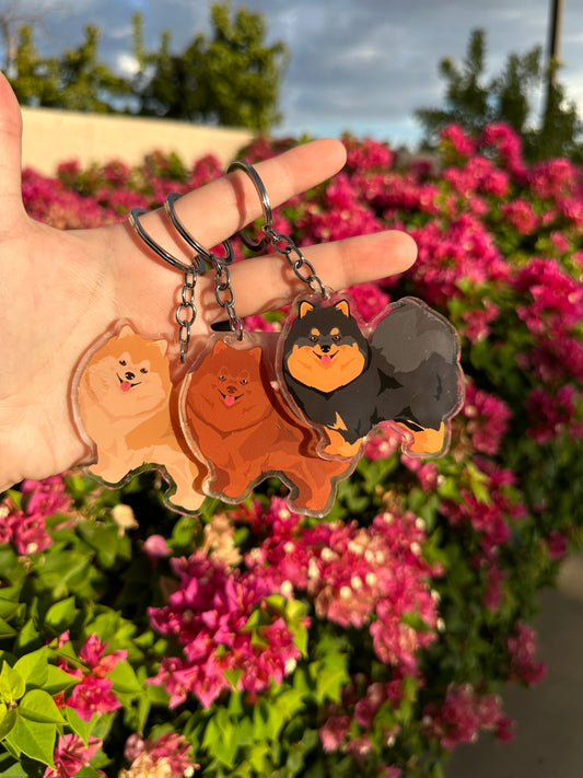 Pomeranian Dog 2.5in Acrylic Keychain
