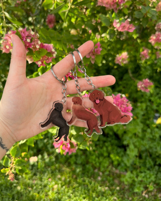 Flat Coated Retriever Dog 2.5in Acrylic Keychain