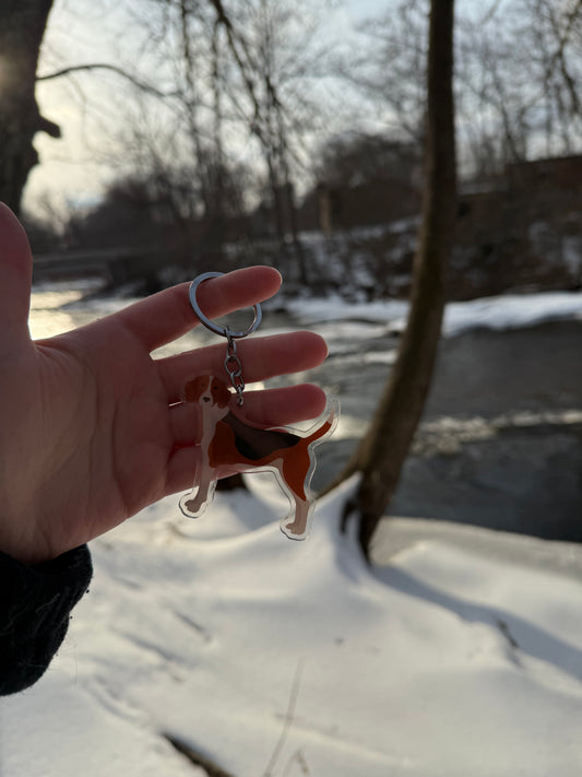 American Foxhound Dog 2.5in Acrylic Keychain