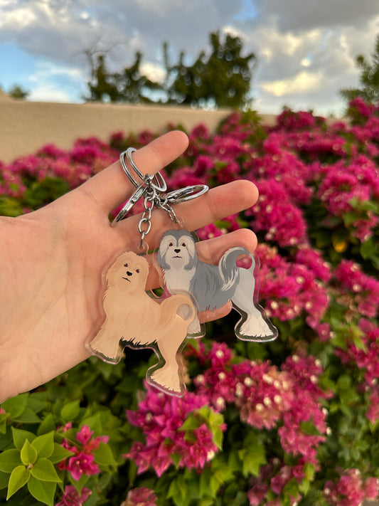 Lowchen Dog 2.5in Acrylic Keychain