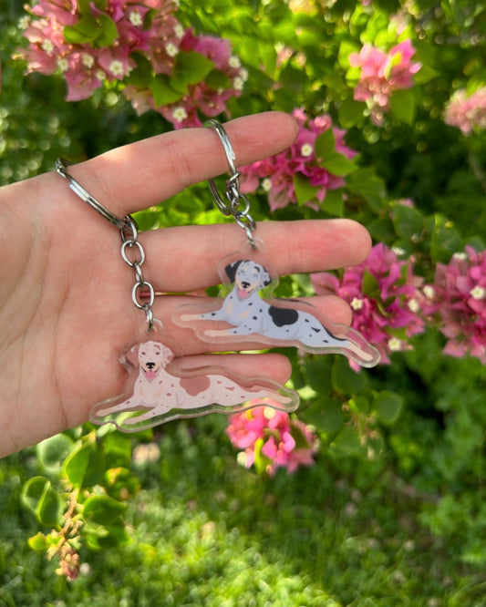 Catahoula Leopard Dog 2.5in Acrylic Keychain