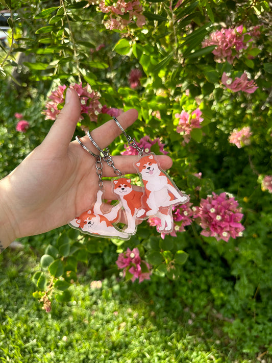 Japanese Akita Dog 2.5in Acrylic Keychain