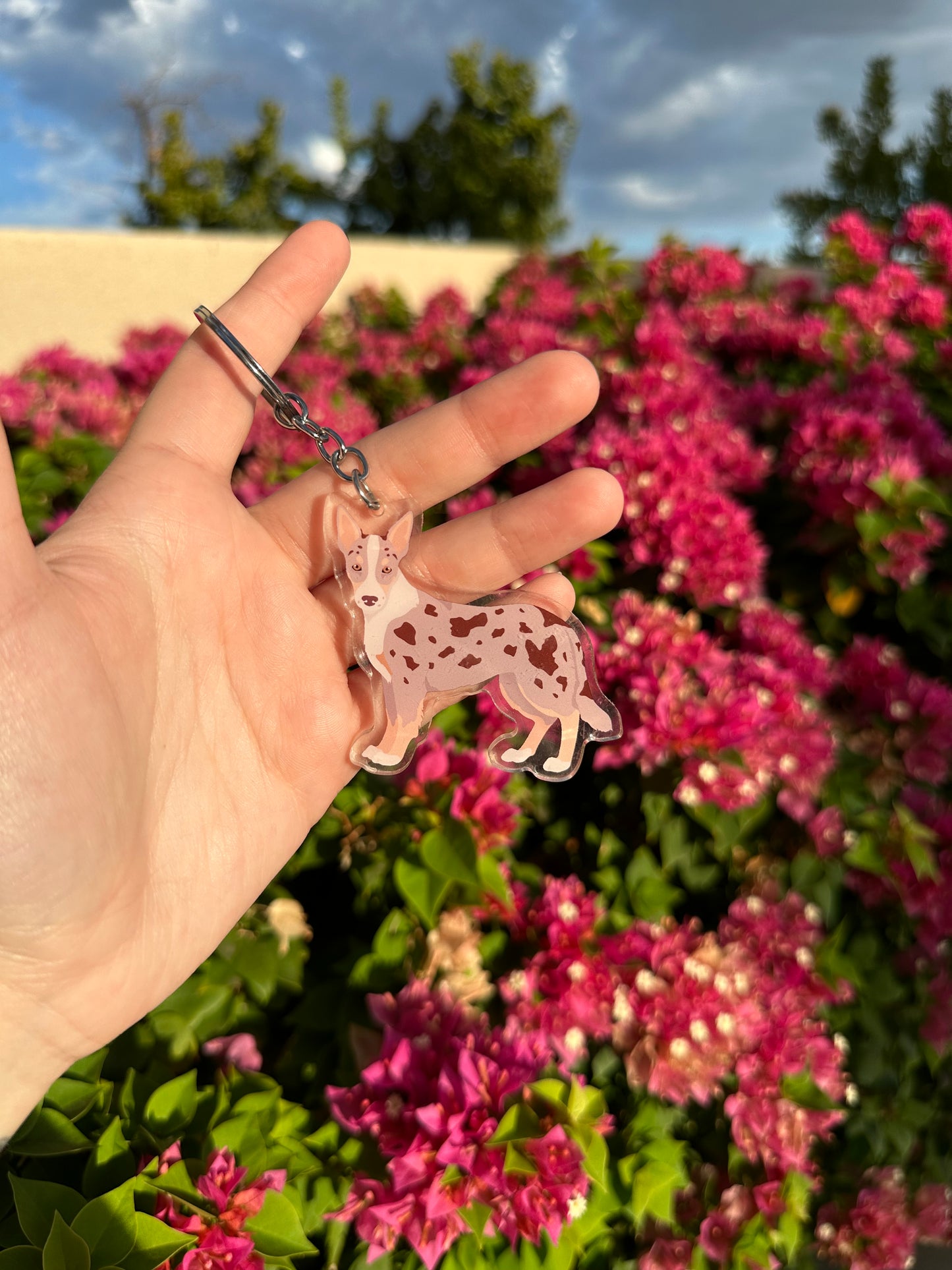 Smooth Border Collie Dog 2.5in Acrylic Keychain