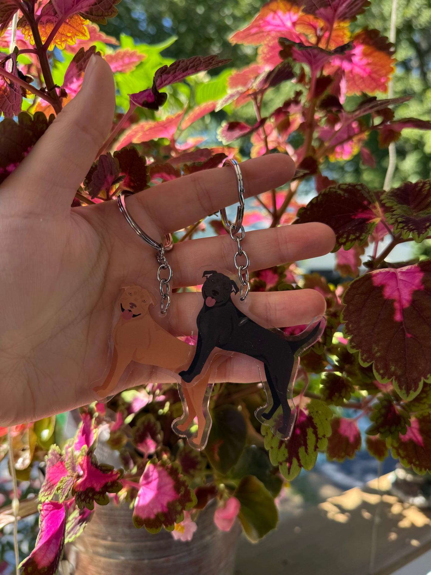 American Staffordshire Terrier Dog 2.5in Acrylic Keychain