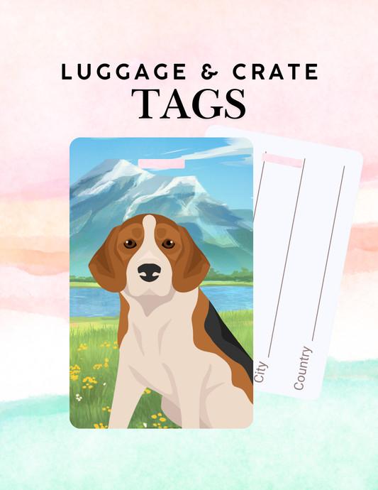 Beagle Dog Metal Luggage/ Crate Tag