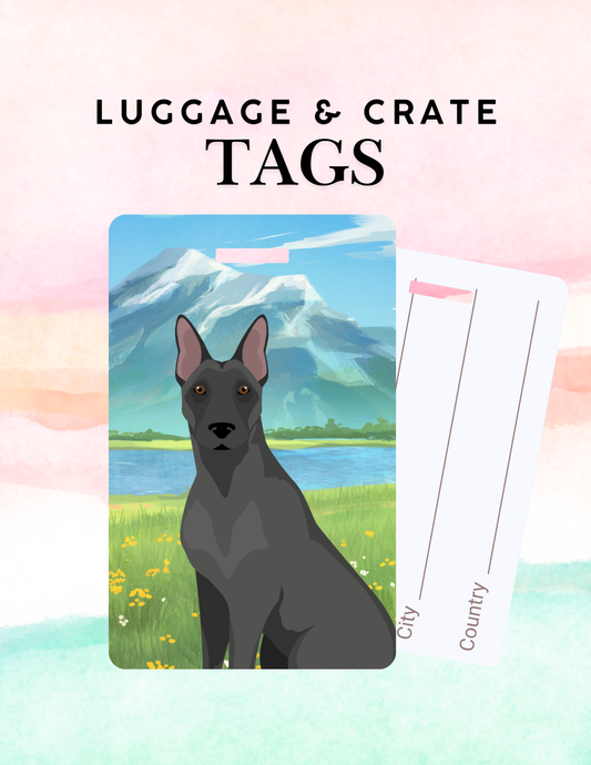 Belgian Malinois Dog Metal Luggage/ Crate Tag