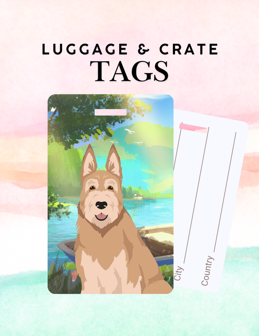 Berger Picard Dog Metal Luggage/ Crate Tag