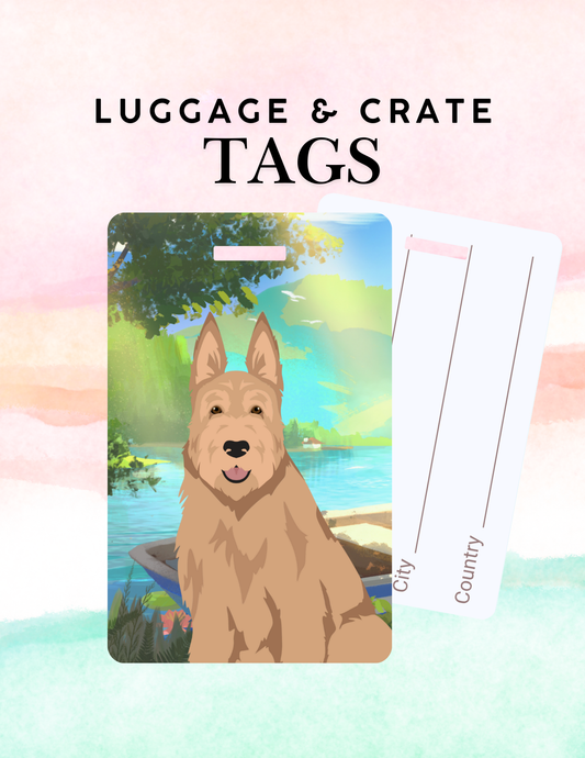 Berger Picard Dog Metal Luggage/ Crate Tag