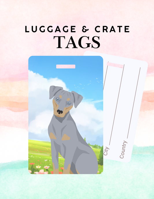 Blue Lacy Dog Metal Luggage/ Crate Tag