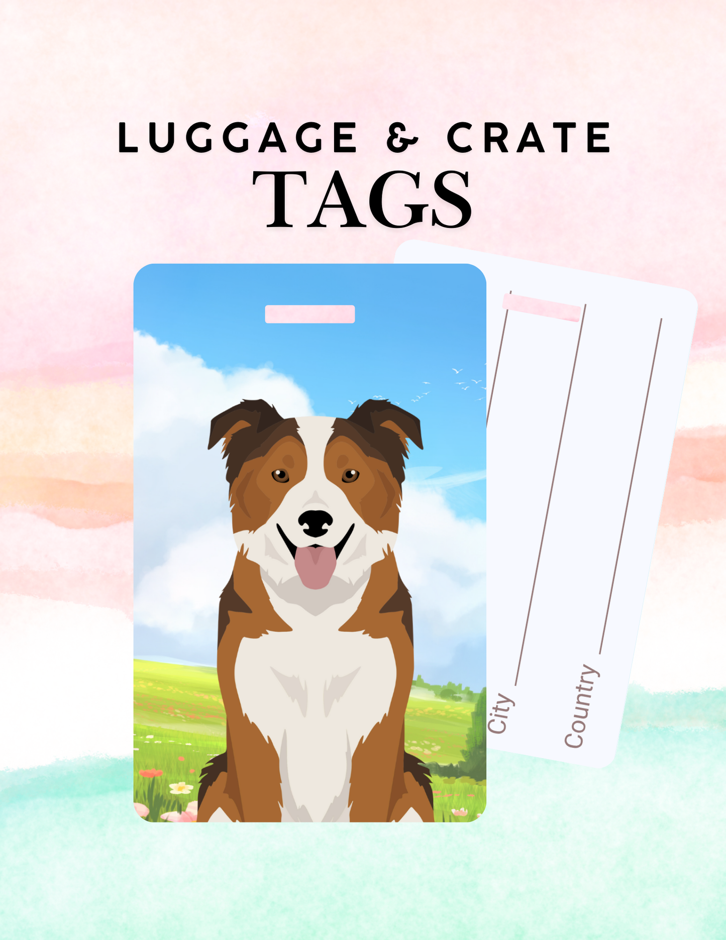 Border Collie Dog Metal Luggage/ Crate Tag