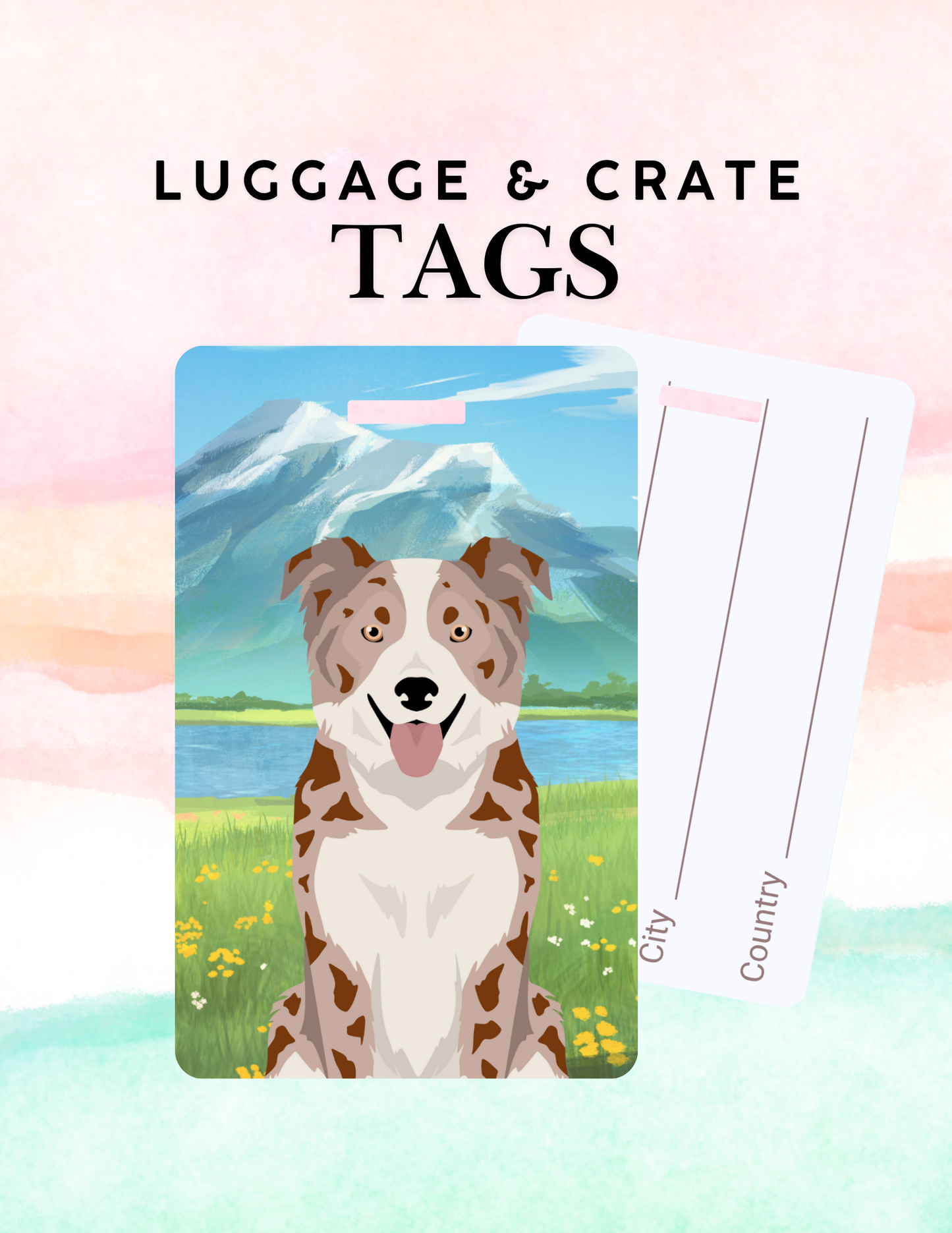 Border Collie Dog Metal Luggage/ Crate Tag