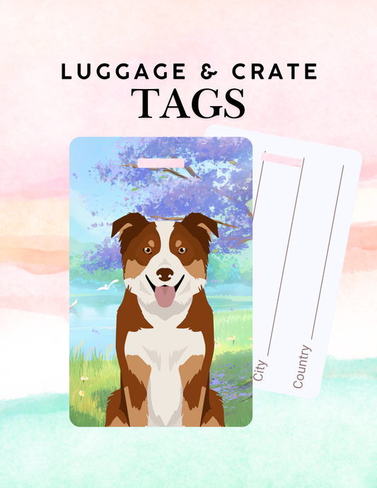 Border Collie Dog Metal Luggage/ Crate Tag