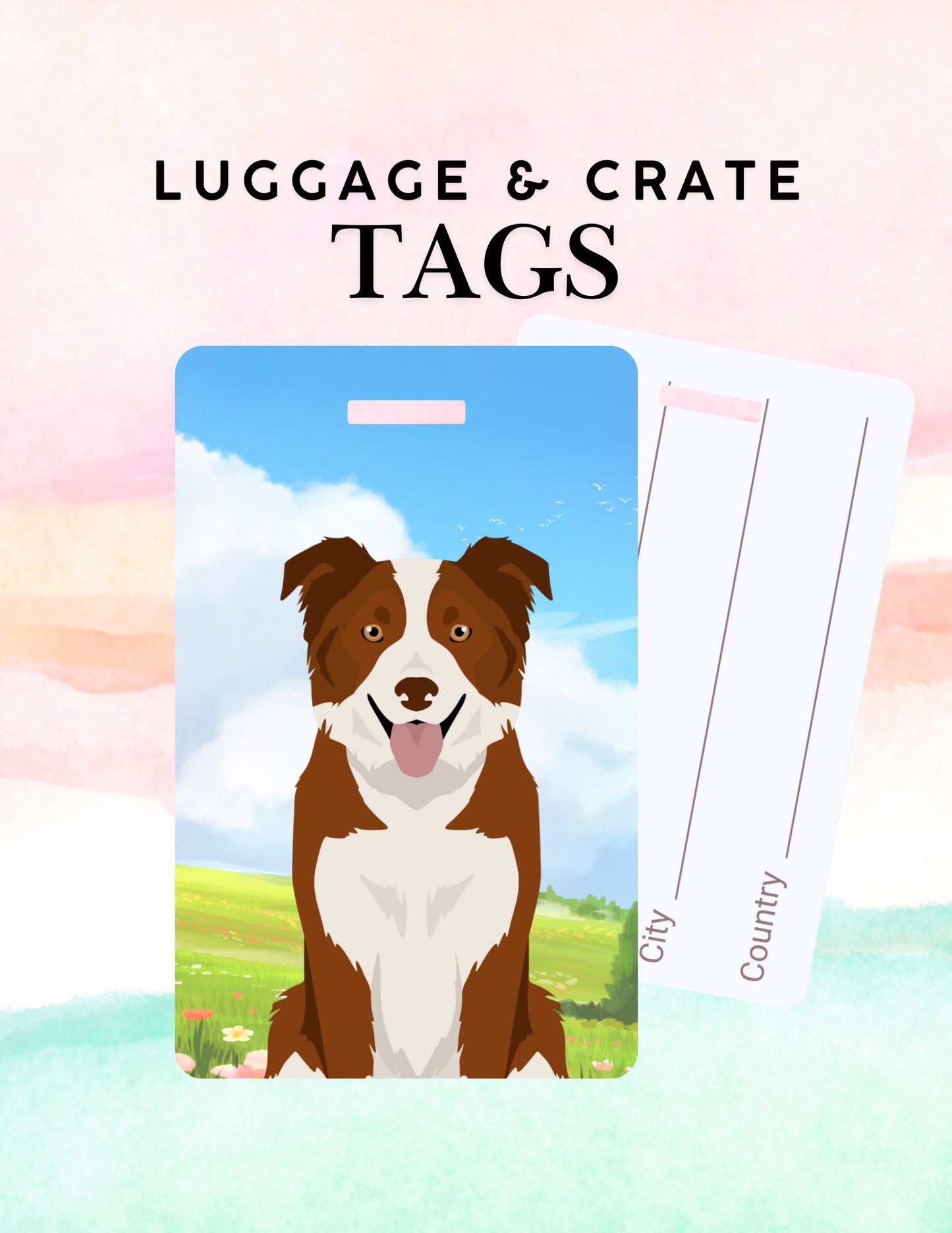Border Collie Dog Metal Luggage/ Crate Tag