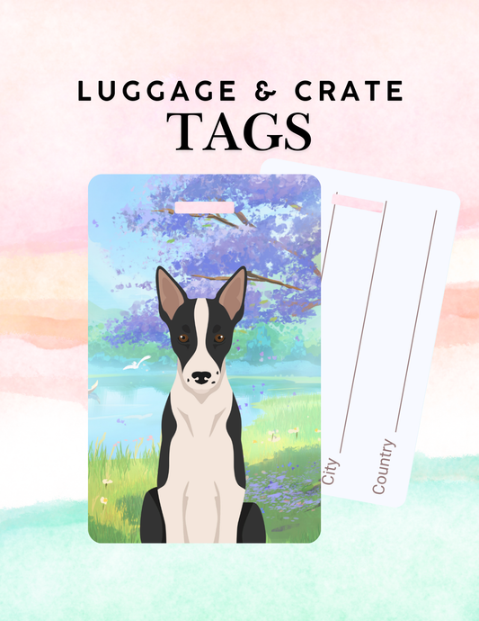 Border Collie Dog Metal Luggage/ Crate Tag