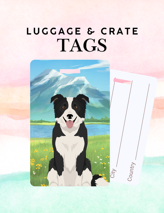 Border Collie Dog Metal Luggage/ Crate Tag