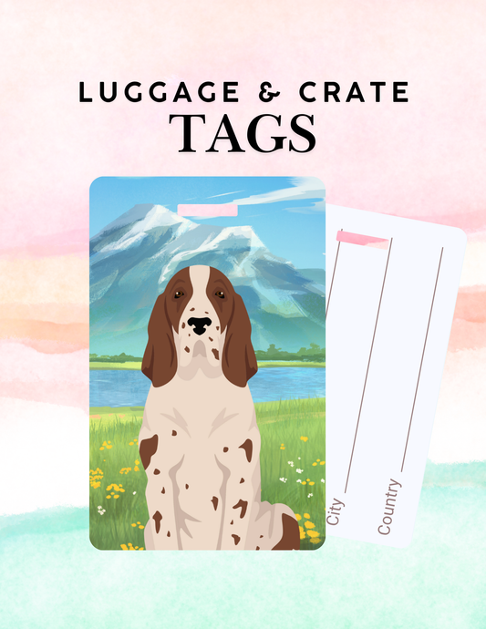 Bracco Italiano Dog Metal Luggage/ Crate Tag