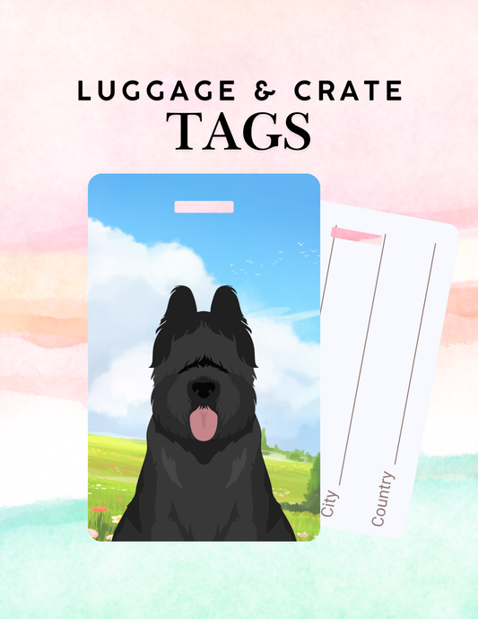 Briard Dog Metal Luggage/ Crate Tag