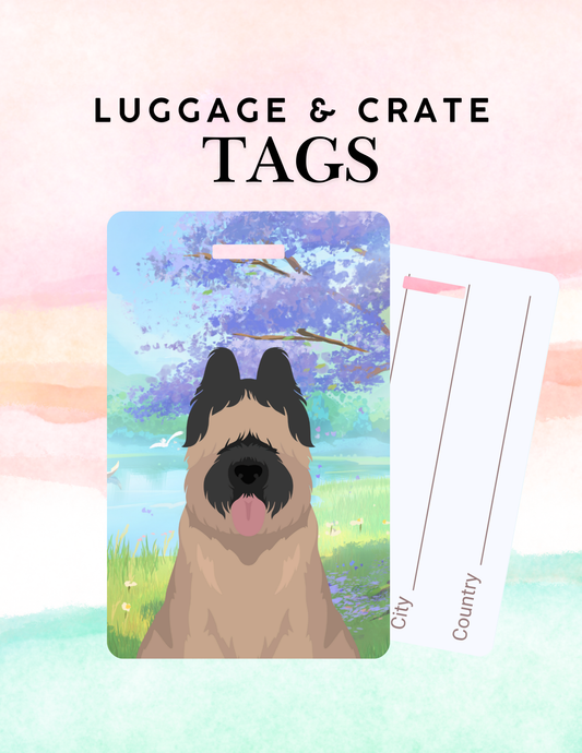 Briard Dog Metal Luggage/ Crate Tag