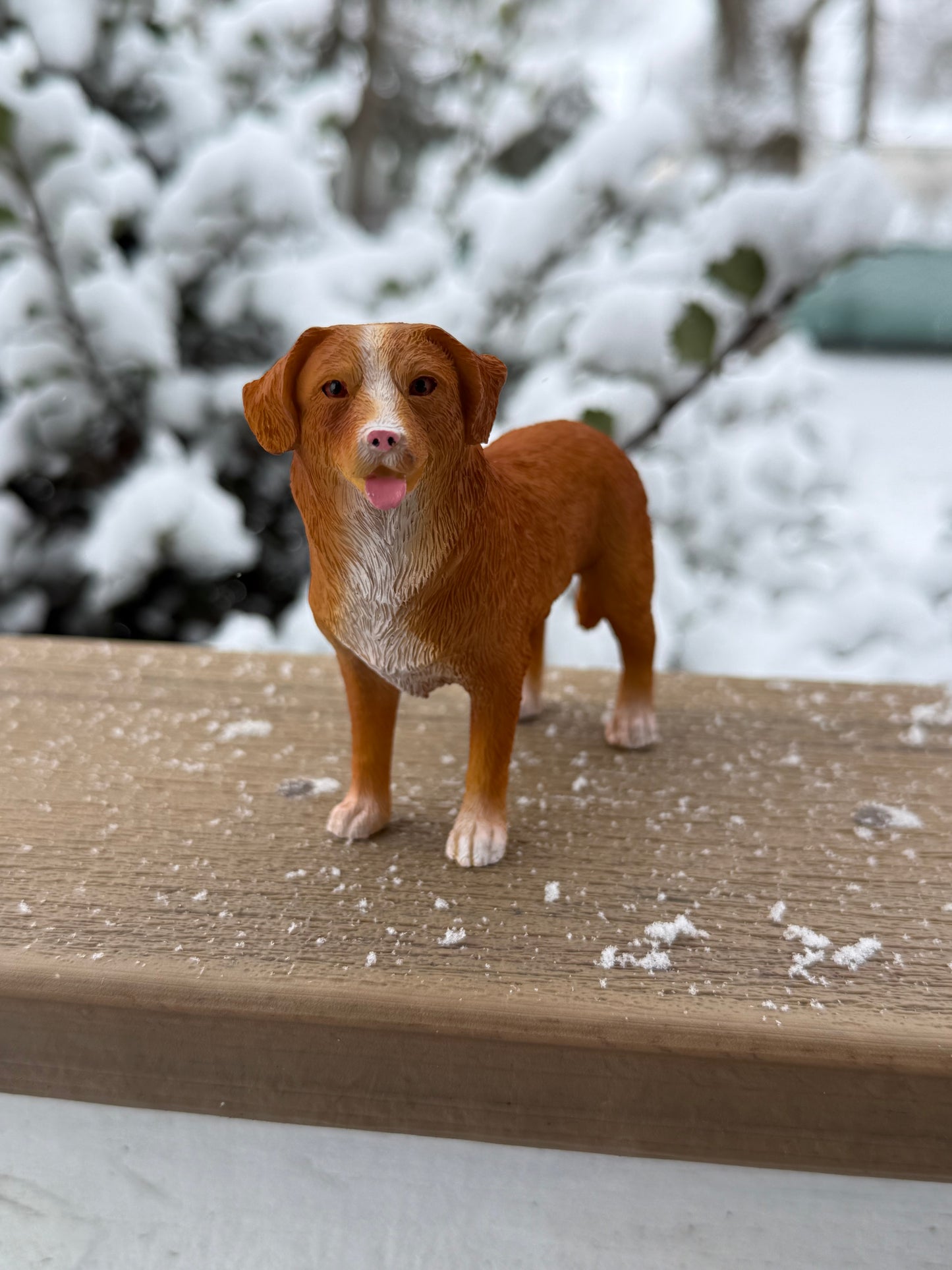Nova Scotia Duck Tolling Retriever Dog Figurine