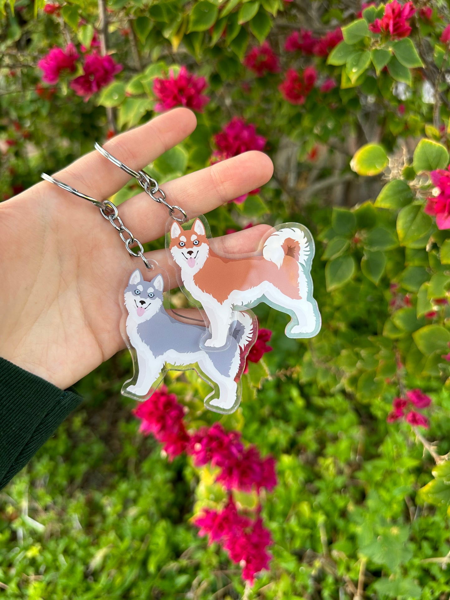 Alaskan Klee Kai Dog 2.5in Acrylic Keychain