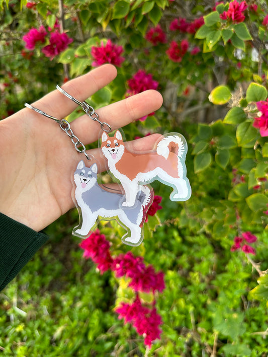Alaskan Klee Kai Dog 2.5in Acrylic Keychain