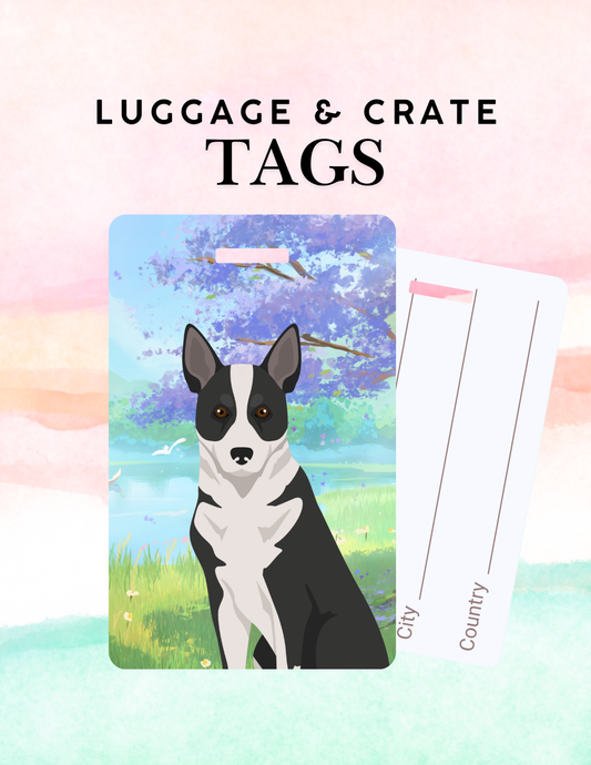 Canaan Dog Dog Metal Luggage/ Crate Tag