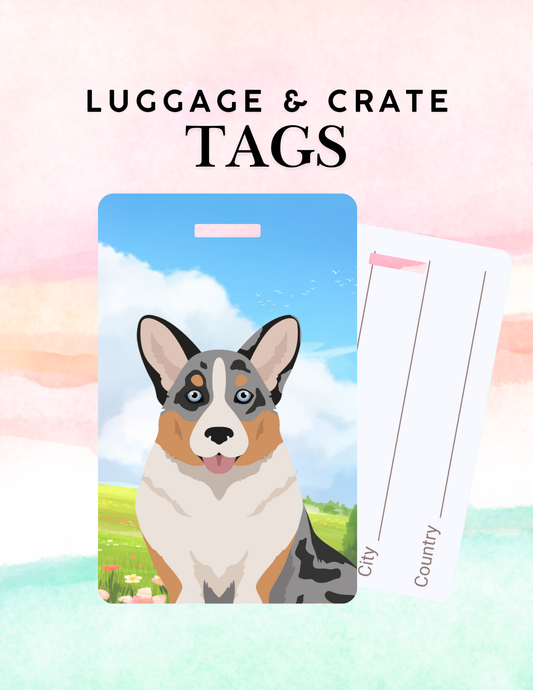 Cardigan Welsh Corgi Dog Metal Luggage/ Crate Tag