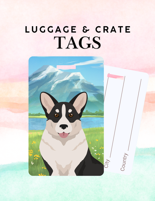 Cardigan Welsh Corgi Dog Metal Luggage/ Crate Tag