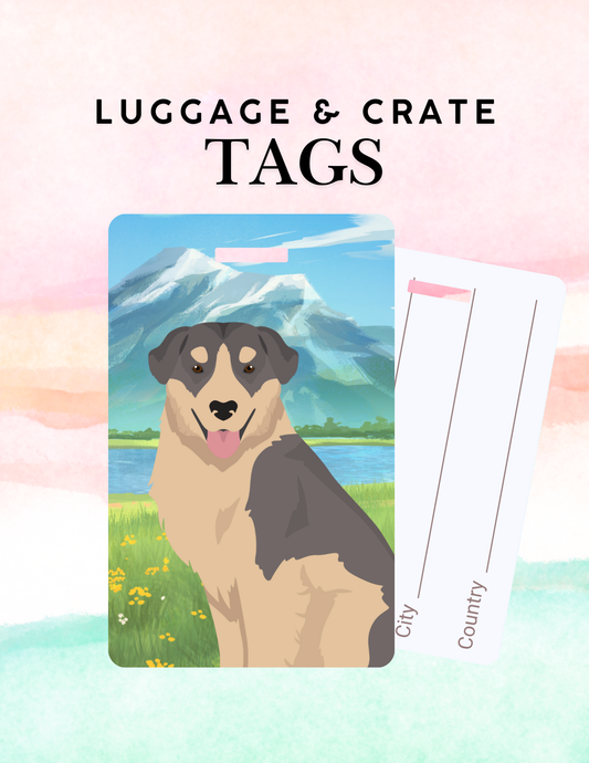 Carpathian Shepherd Dog Metal Luggage/ Crate Tag