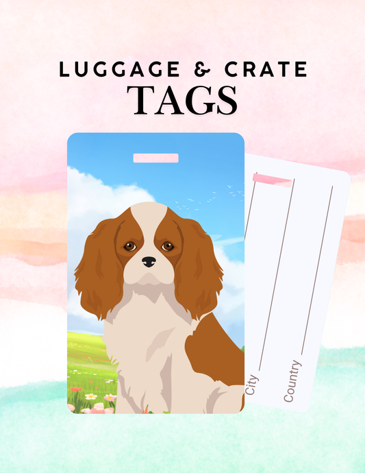 Cavalier King Charles Spaniel Dog Metal Luggage/ Crate Tag