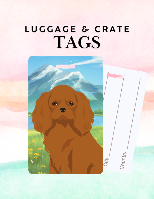 Cavalier King Charles Spaniel Dog Metal Luggage/ Crate Tag