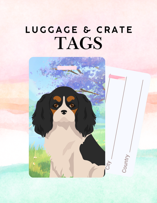 Cavalier King Charles Spaniel Dog Metal Luggage/ Crate Tag