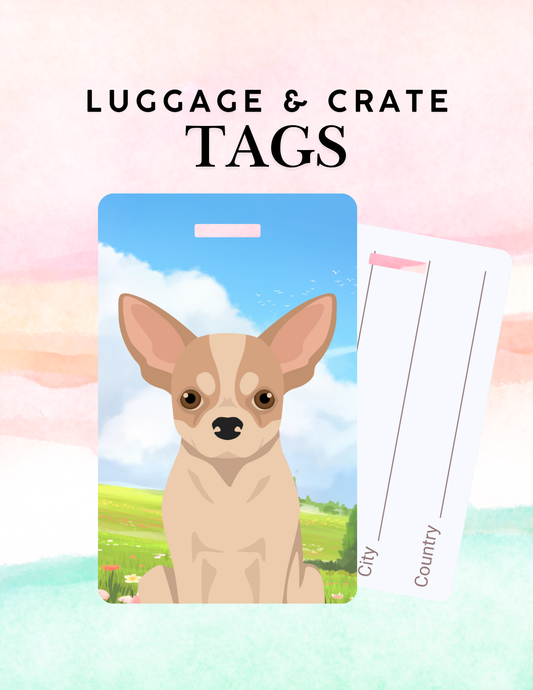 Chihuahua Dog Metal Luggage/ Crate Tag