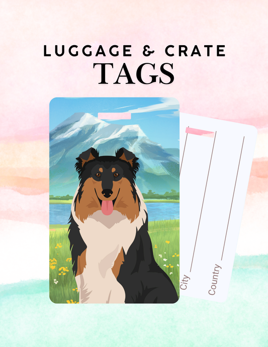 Collie Dog Metal Luggage/ Crate Tag