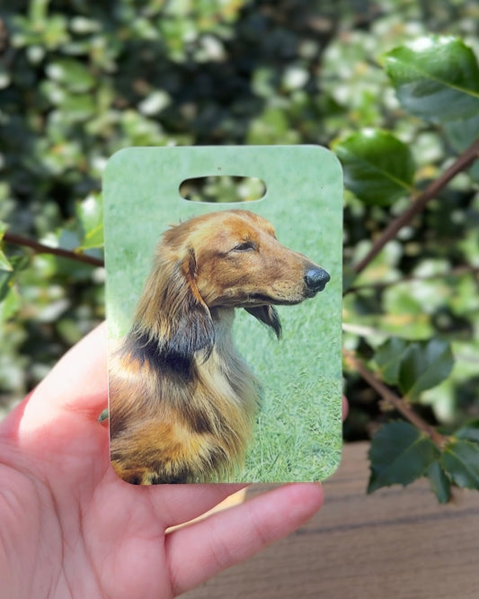 Dachshund Dog Luggage Tag