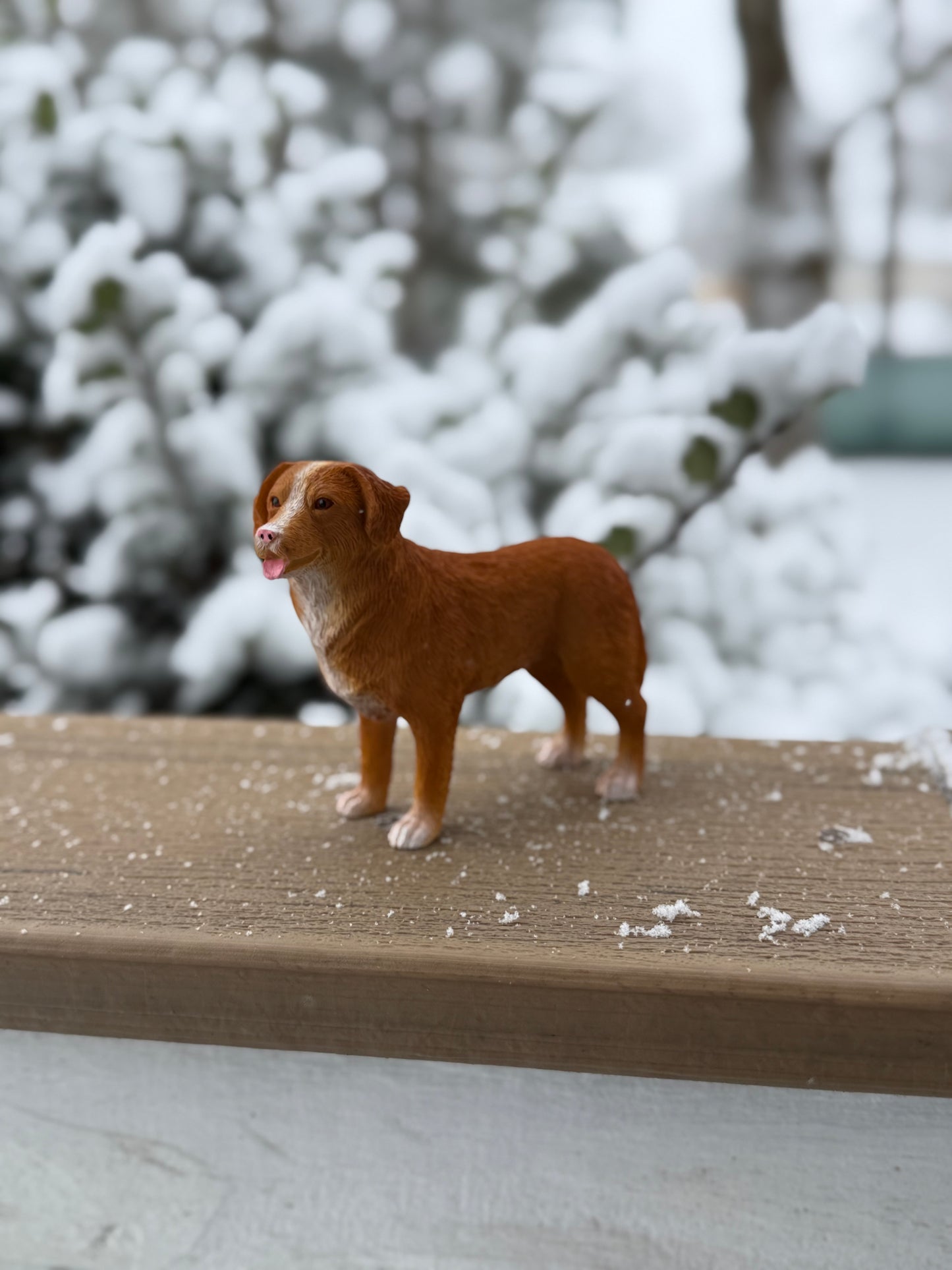 Nova Scotia Duck Tolling Retriever Dog Figurine