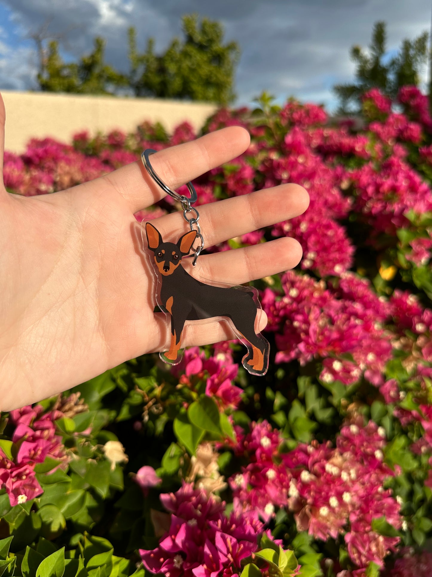 Miniature Pinscher Dog 2.5in Acrylic Keychain