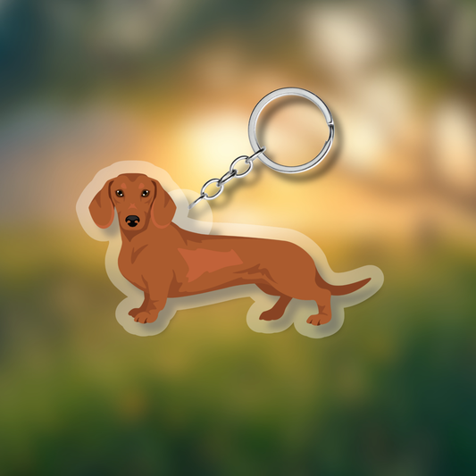 Dachshund Dog 2.5in Acrylic Keychain