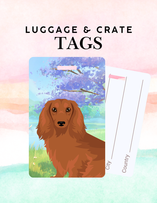 Dachshund Dog Metal Luggage/ Crate Tag