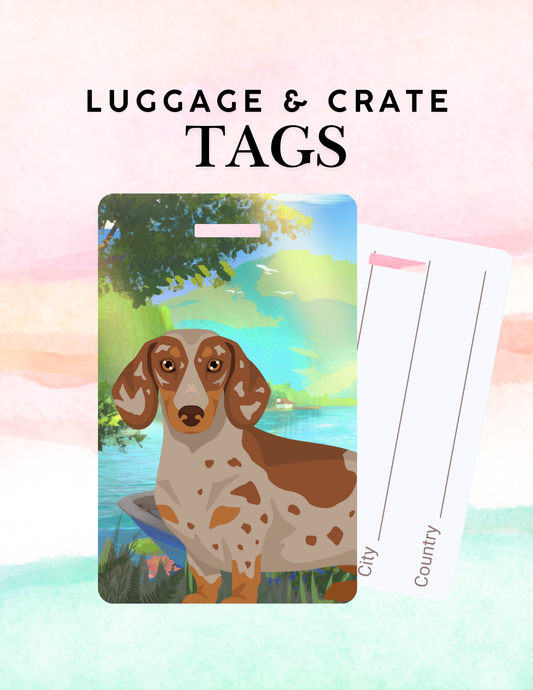 Dachshund Dog Metal Luggage/ Crate Tag