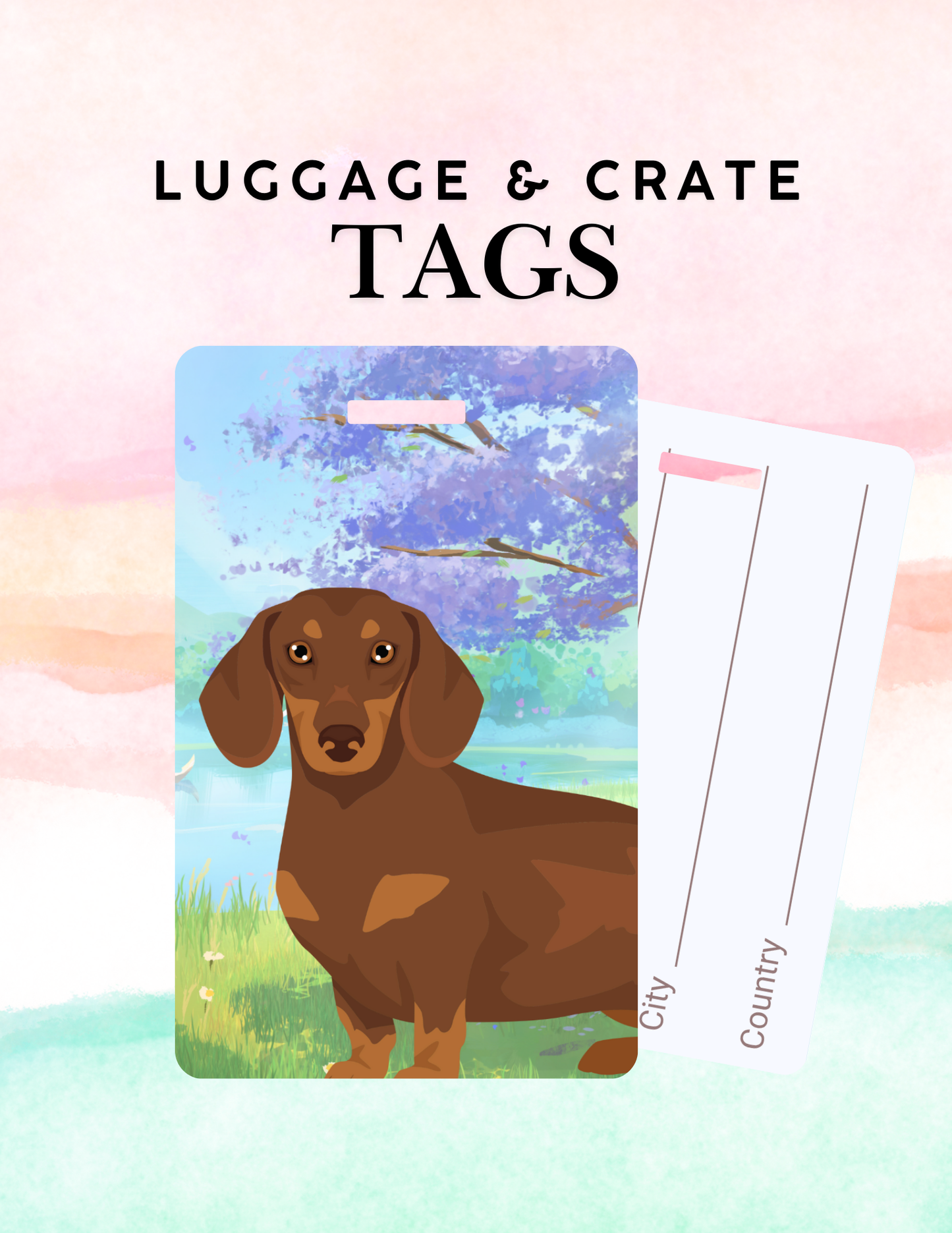 Dachshund Dog Metal Luggage/ Crate Tag