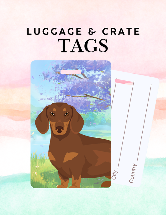 Dachshund Dog Metal Luggage/ Crate Tag