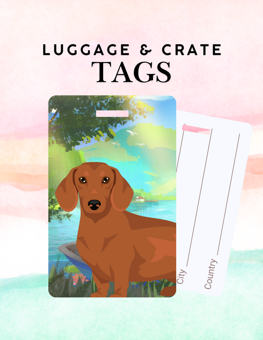 Dachshund Dog Metal Luggage/ Crate Tag