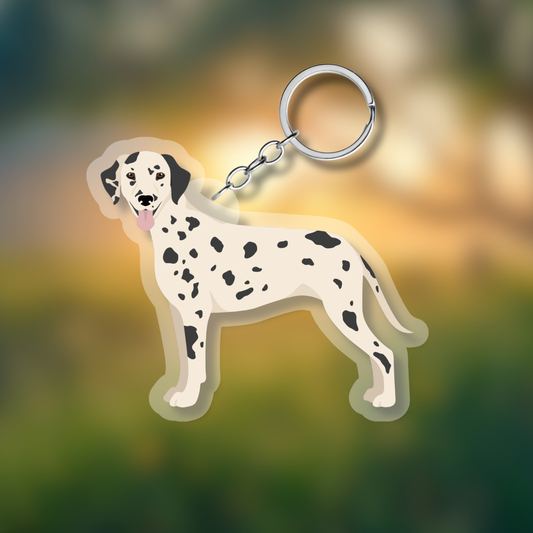 Dalmatian Dog 2.5in Acrylic Keychain