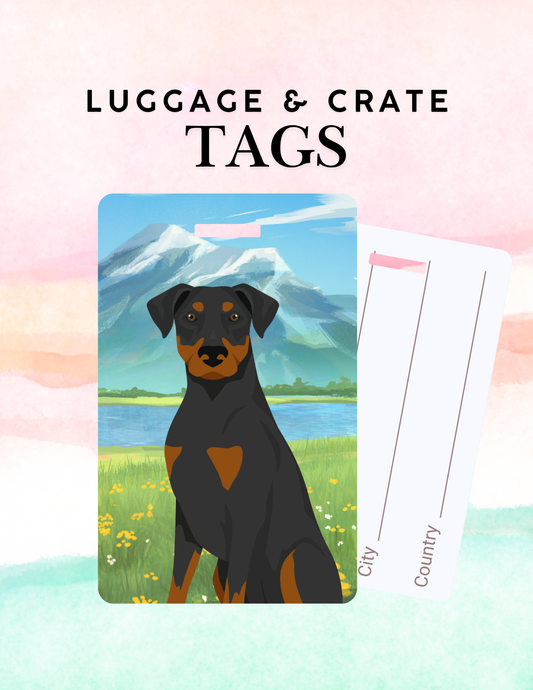 Doberman Pinscher Dog Metal Luggage/ Crate Tag