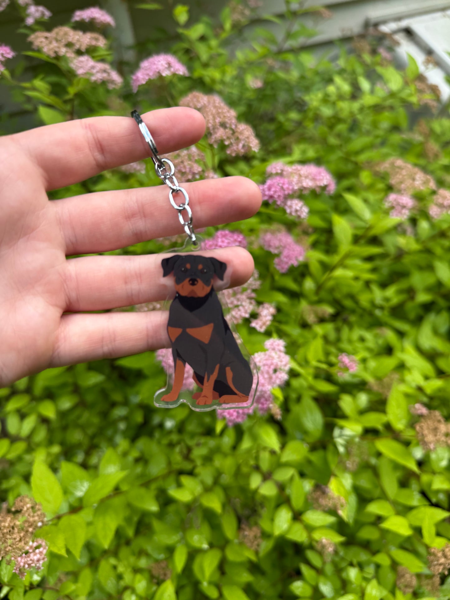 Rottweiler Dog 2.5in Acrylic Keychain