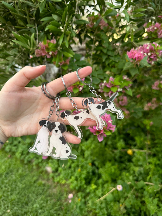 Pointer Dog 2.5in Acrylic Keychain