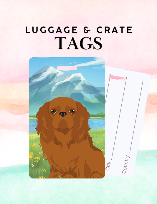 English Toy Spaniel Dog Metal Luggage/ Crate Tag