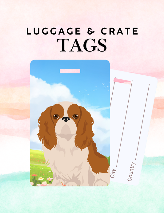 English Toy Spaniel Dog Metal Luggage/ Crate Tag
